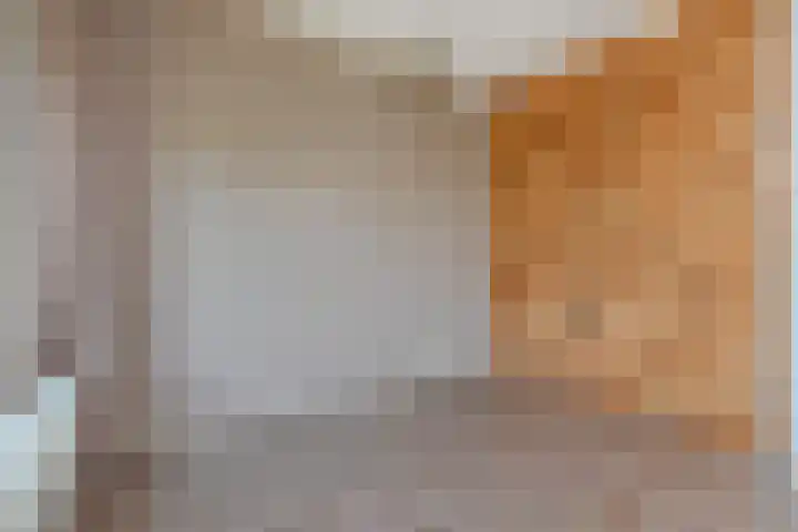Hart Nibbrigkade 115 Den Haag thumbnail 9