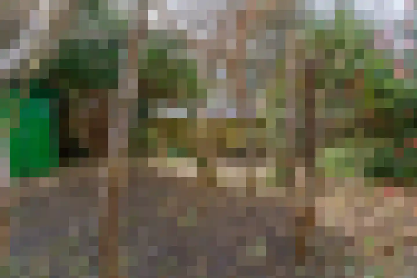 Hart Nibbrigkade 124 Den Haag thumbnail 11