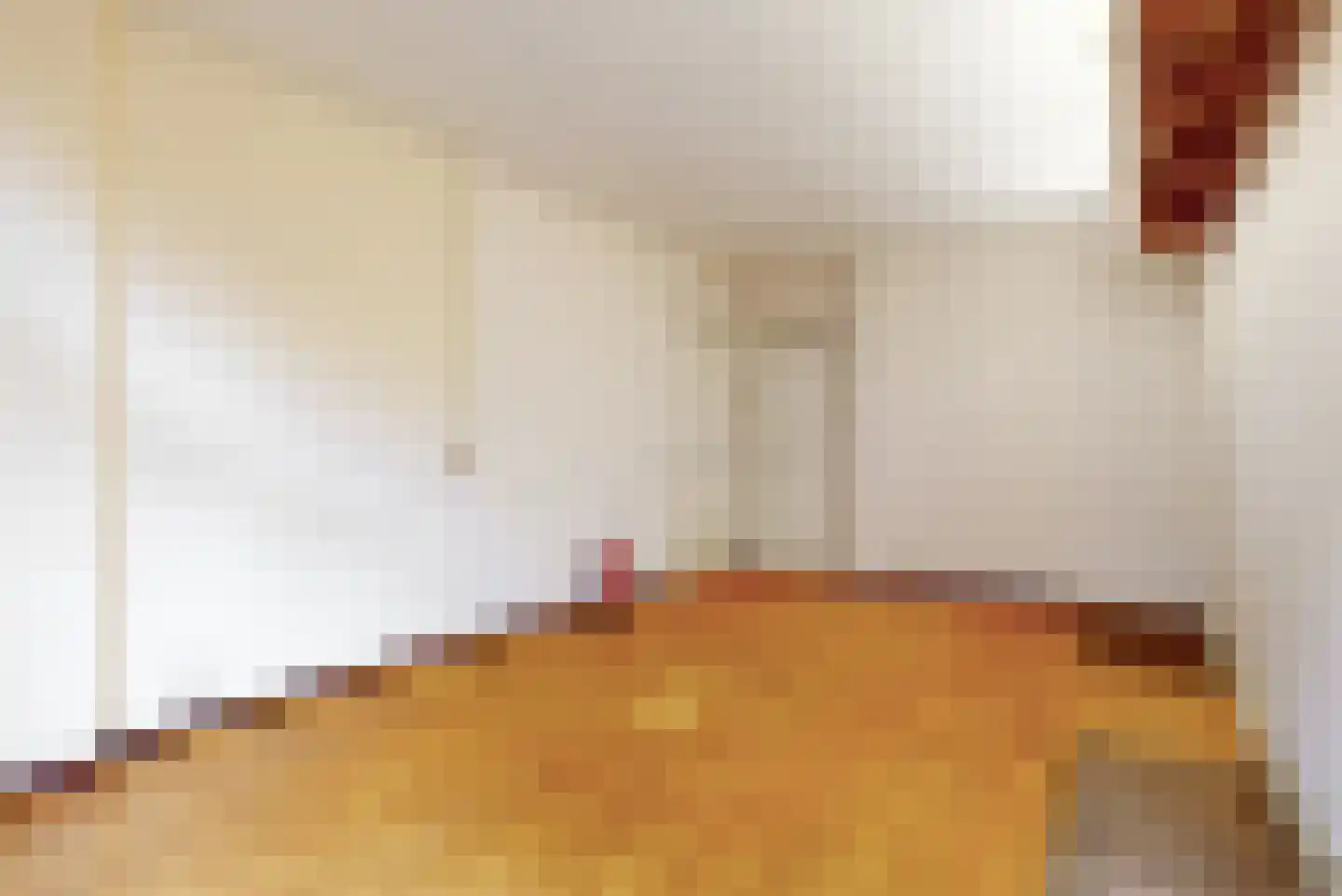 Hart Nibbrigkade 124 Den Haag thumbnail 14