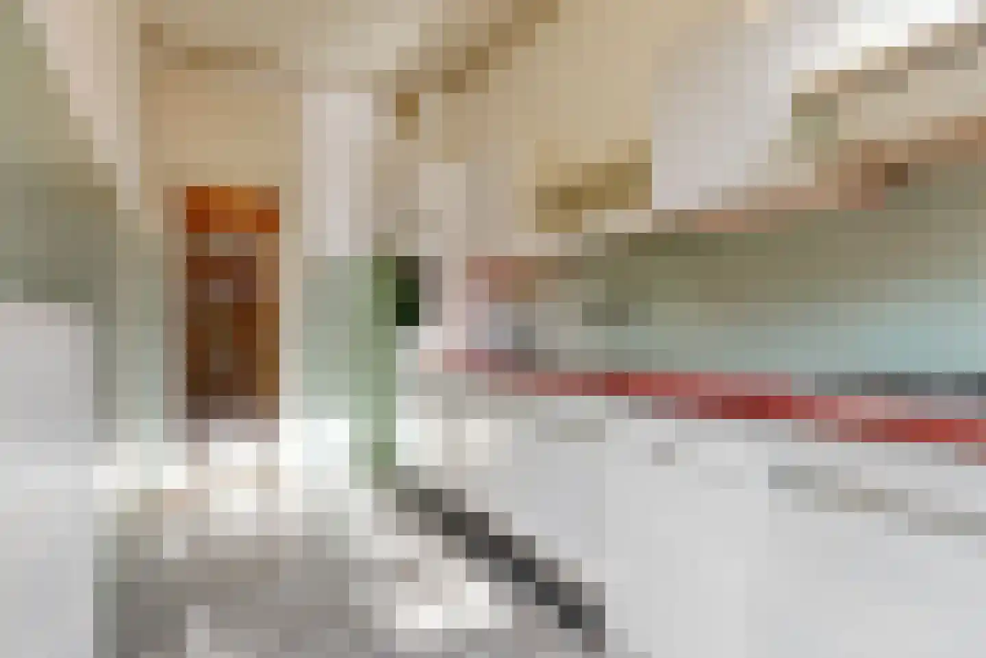 Hart Nibbrigkade 124 Den Haag thumbnail 18