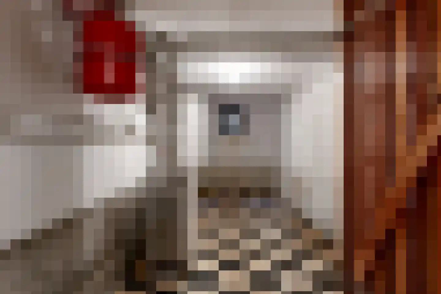Hart Nibbrigkade 124 Den Haag thumbnail 23