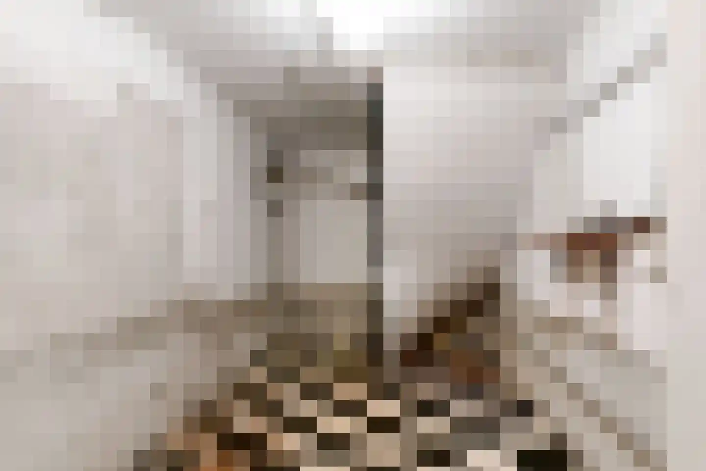Hart Nibbrigkade 124 Den Haag thumbnail 24