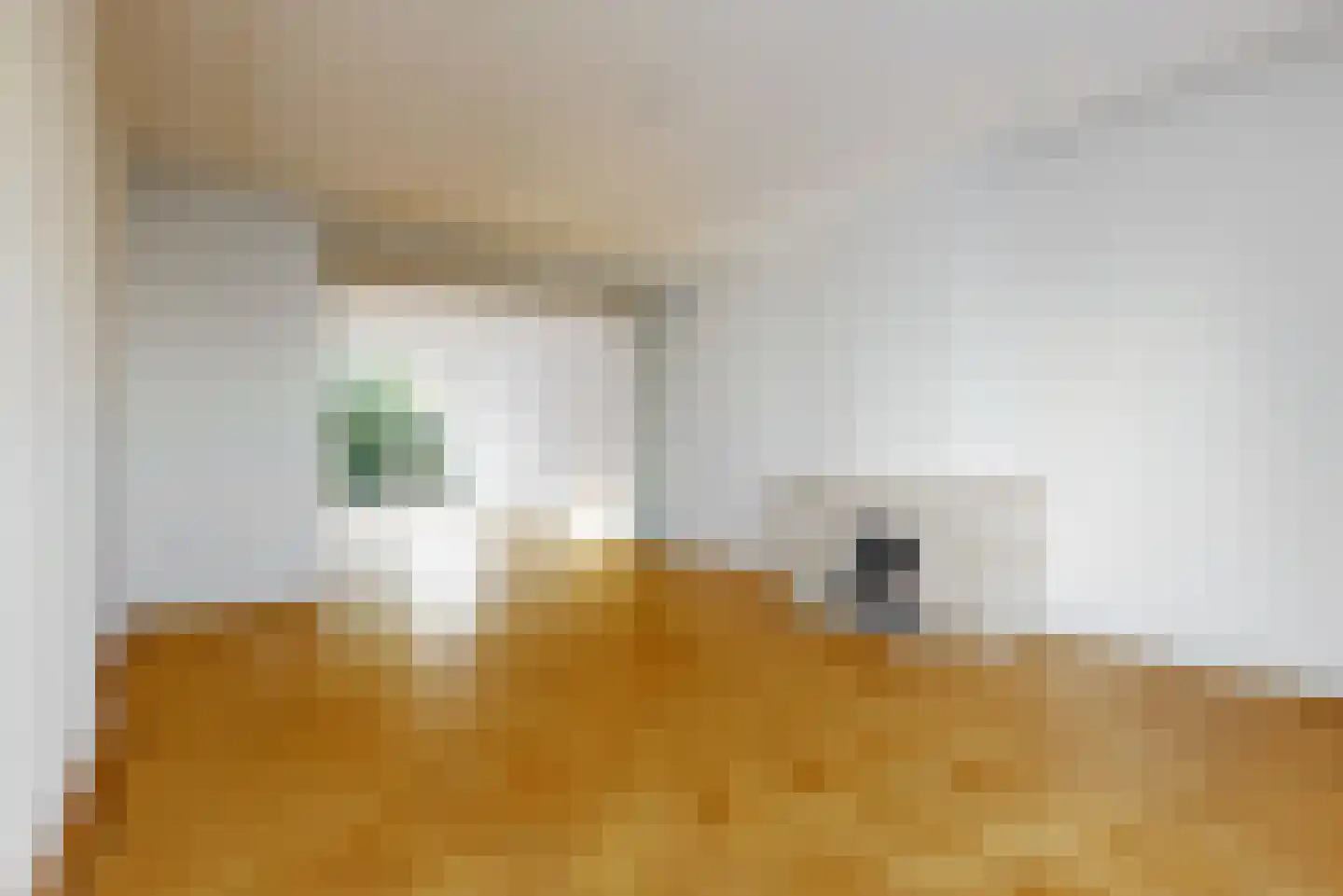 Hart Nibbrigkade 124 Den Haag thumbnail 6