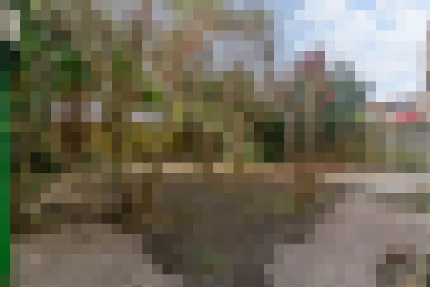 Hart Nibbrigkade 124 Den Haag thumbnail 8