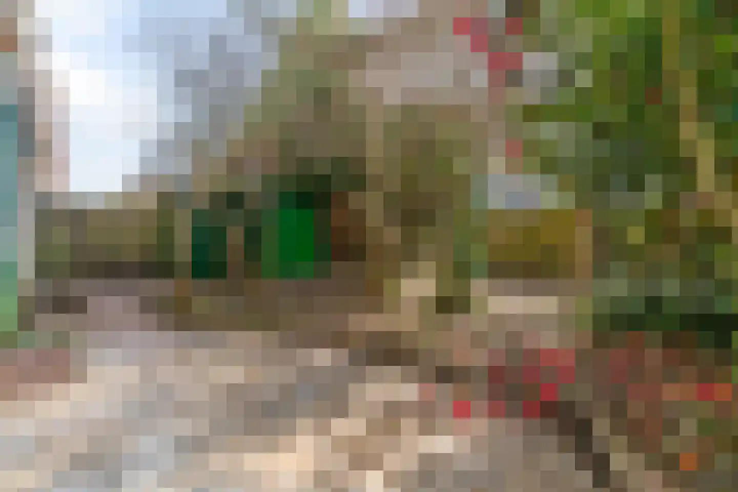 Hart Nibbrigkade 124 Den Haag thumbnail 9
