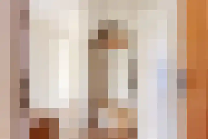 Hart Nibbrigkade 20 A Den Haag thumbnail 15
