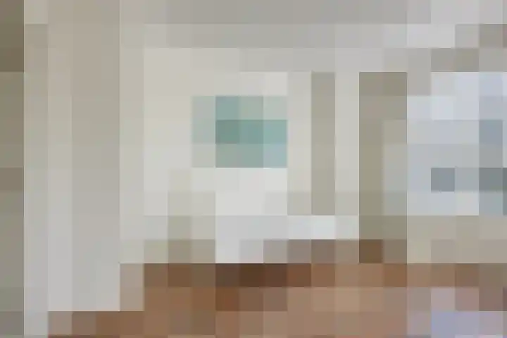 Hart Nibbrigkade 20 A Den Haag thumbnail 16
