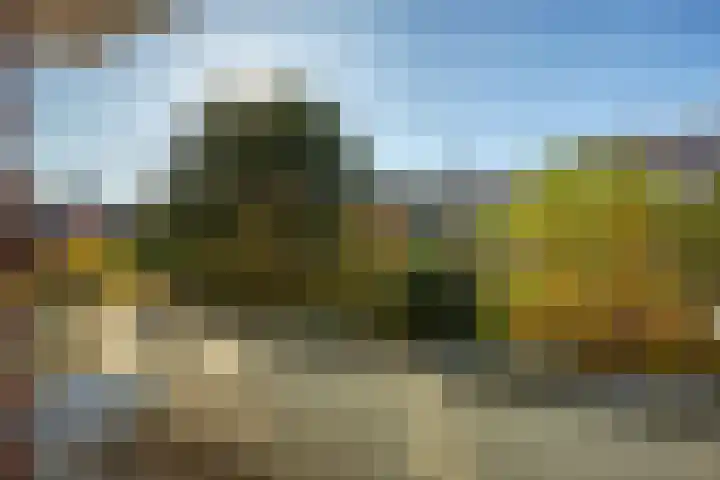 Hart Nibbrigkade 20 A Den Haag thumbnail 24