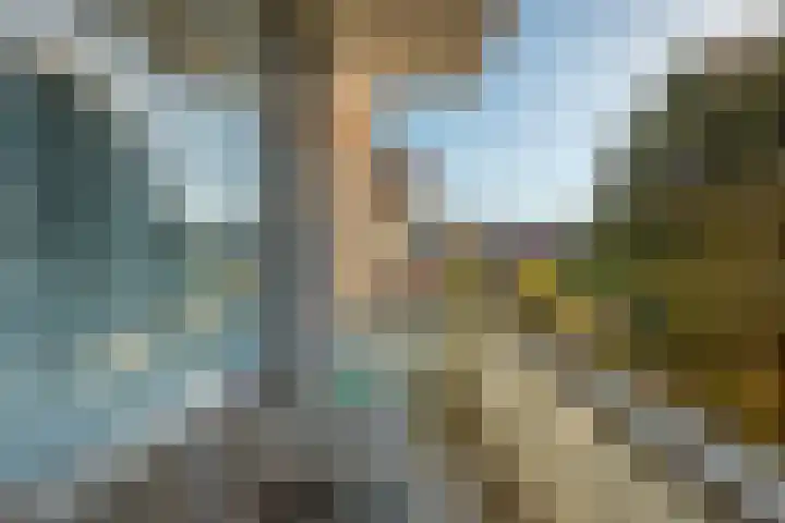 Hart Nibbrigkade 20 A Den Haag thumbnail 25