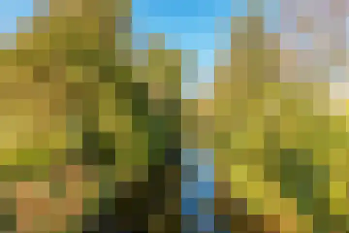 Hart Nibbrigkade 20 A Den Haag thumbnail 32