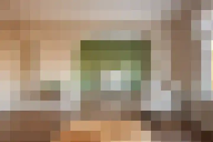 Hart Nibbrigkade 20 A Den Haag thumbnail 5