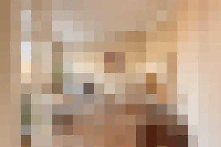Hart Nibbrigkade 20 A Den Haag thumbnail 7