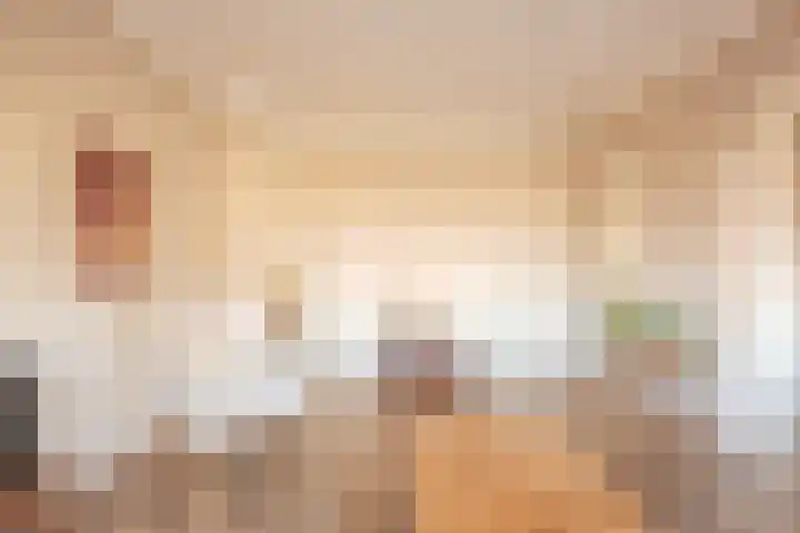 Hart Nibbrigkade 20 A Den Haag thumbnail 8