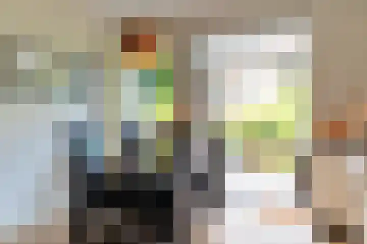 Hart Nibbrigkade 24 Den Haag thumbnail 10