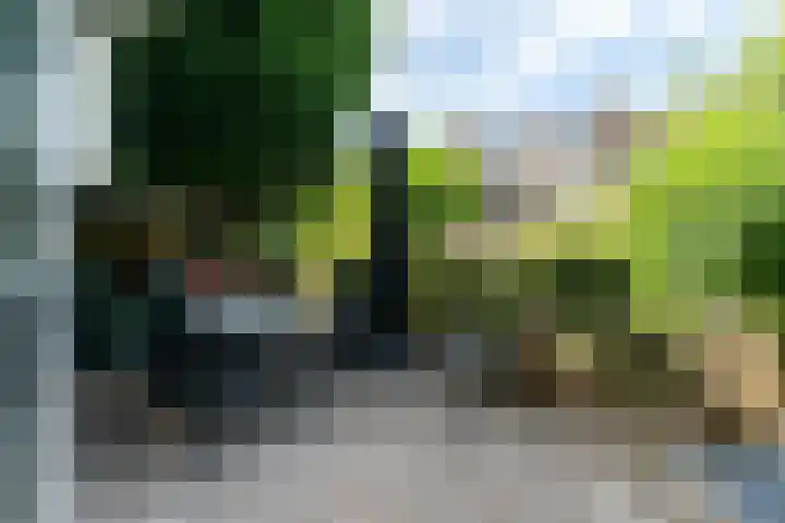 Hart Nibbrigkade 24 Den Haag thumbnail 11