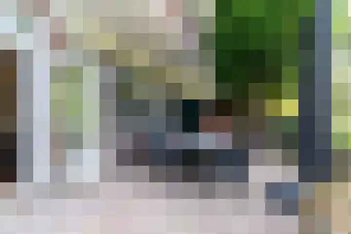 Hart Nibbrigkade 24 Den Haag thumbnail 12
