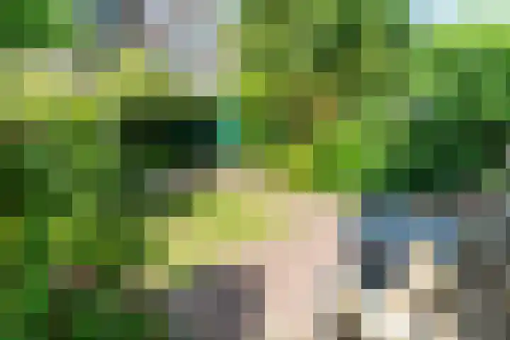 Hart Nibbrigkade 24 Den Haag thumbnail 13