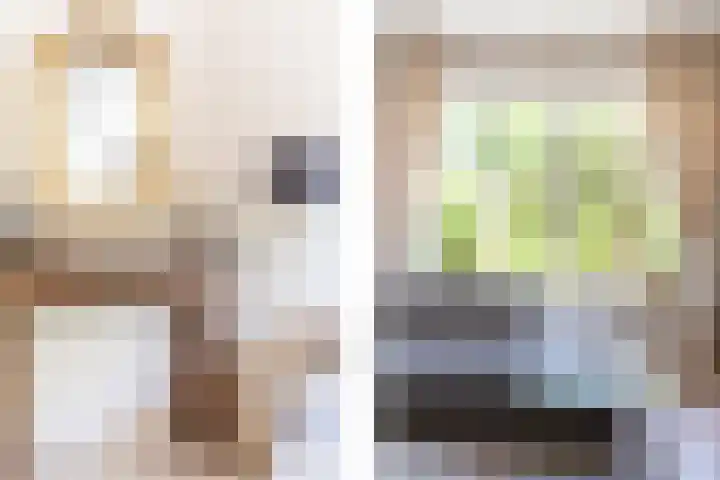 Hart Nibbrigkade 24 Den Haag thumbnail 7