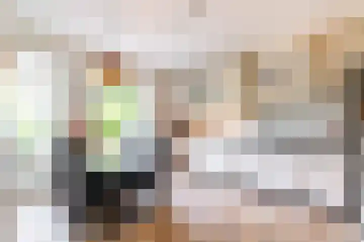 Hart Nibbrigkade 24 Den Haag thumbnail 8