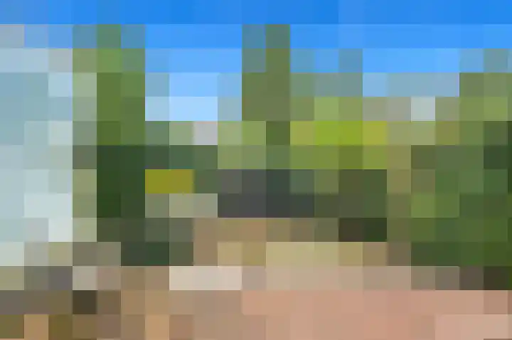 Hart Nibbrigkade 27 Den Haag thumbnail 10