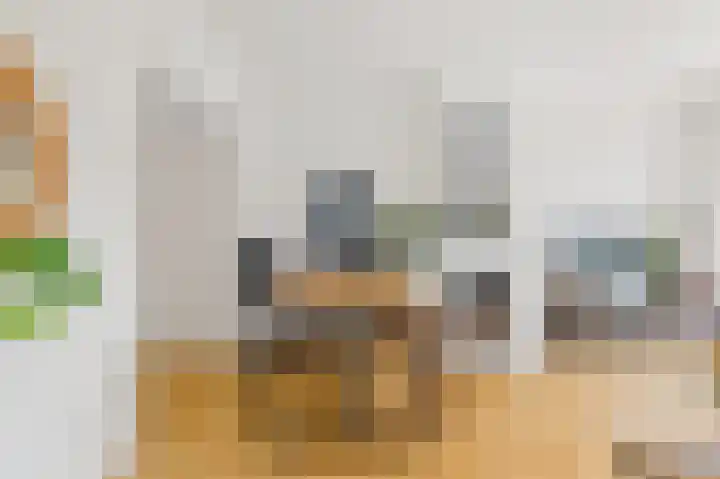 Hart Nibbrigkade 27 Den Haag thumbnail 12