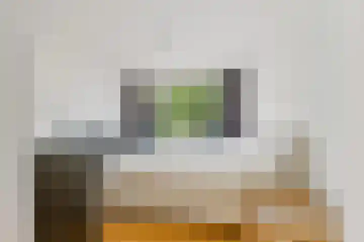 Hart Nibbrigkade 27 Den Haag thumbnail 15