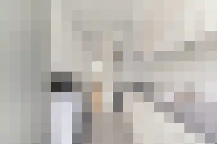 Hart Nibbrigkade 27 Den Haag thumbnail 18