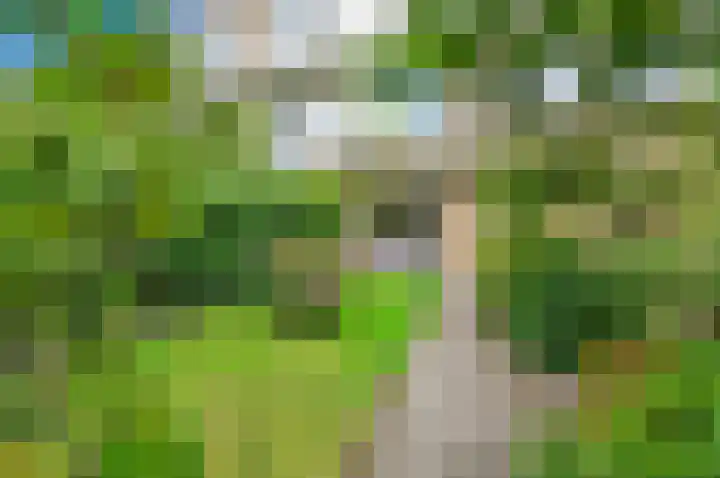 Hart Nibbrigkade 27 Den Haag thumbnail 20