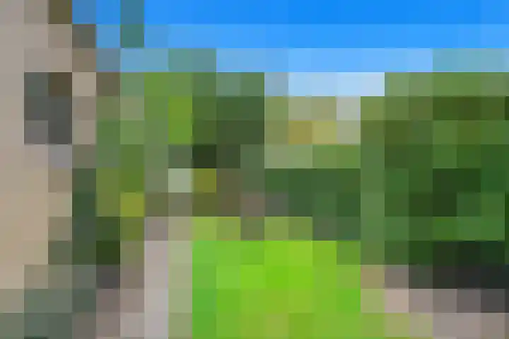 Hart Nibbrigkade 27 Den Haag thumbnail 21