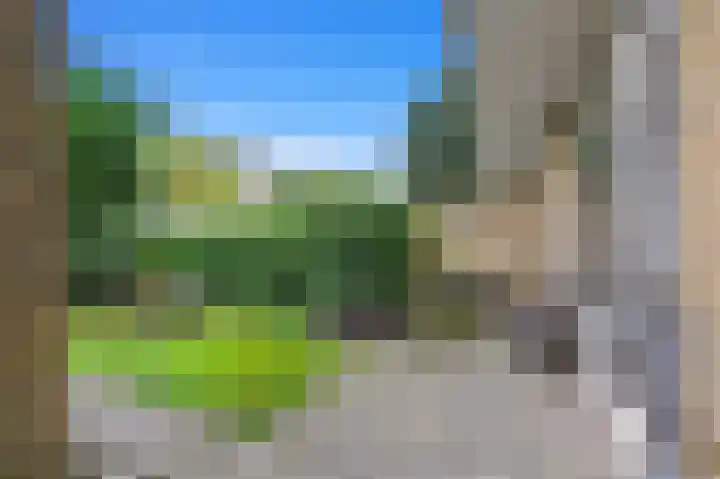 Hart Nibbrigkade 27 Den Haag thumbnail 22
