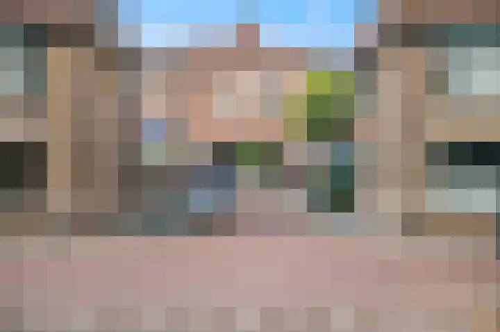 Hart Nibbrigkade 27 Den Haag thumbnail 24