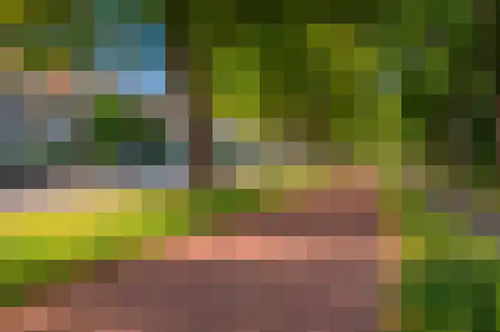 Hart Nibbrigkade 27 Den Haag thumbnail 25