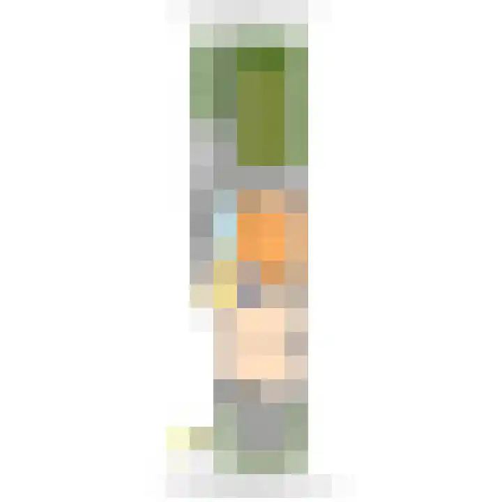 Hart Nibbrigkade 27 Den Haag thumbnail 30