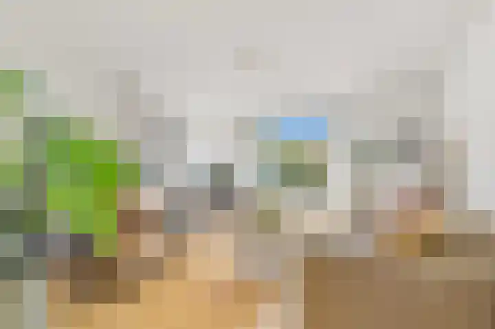 Hart Nibbrigkade 27 Den Haag thumbnail 4