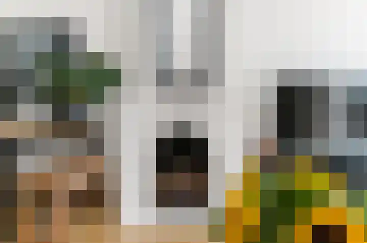 Hart Nibbrigkade 27 Den Haag thumbnail 6