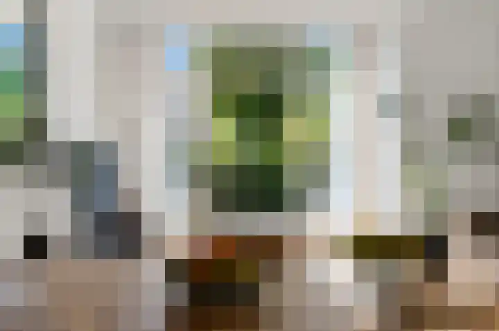 Hart Nibbrigkade 27 Den Haag thumbnail 7