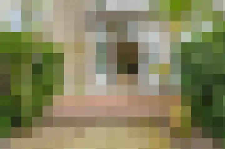 Hart Nibbrigkade 27 Den Haag thumbnail 8