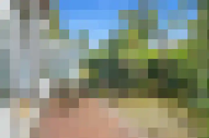 Hart Nibbrigkade 27 Den Haag thumbnail 9