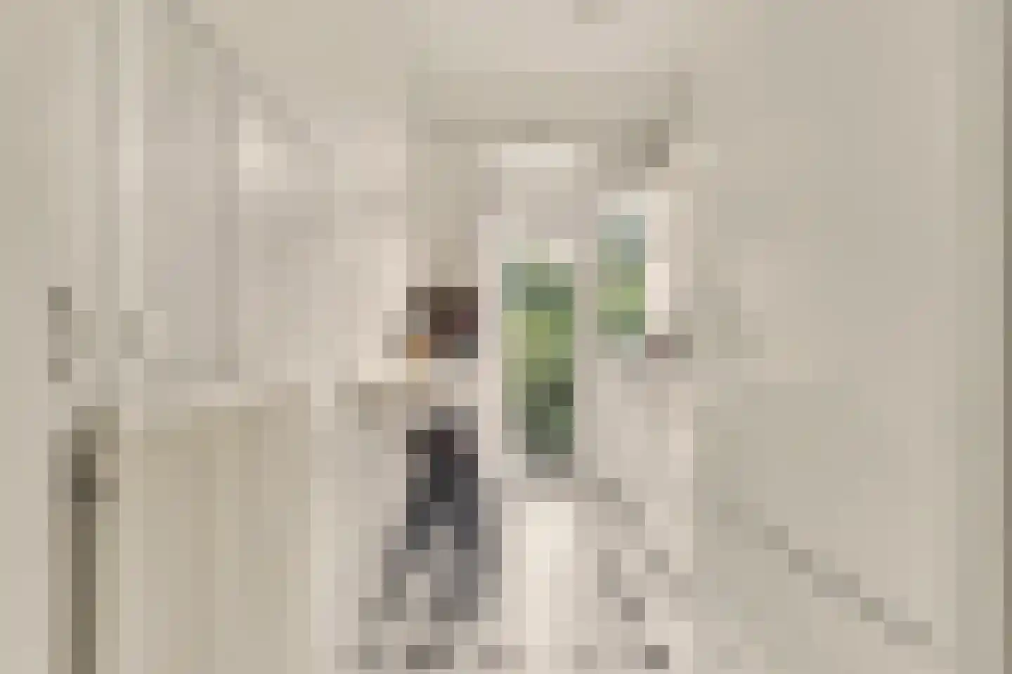 Hart Nibbrigkade 59 Den Haag thumbnail 10