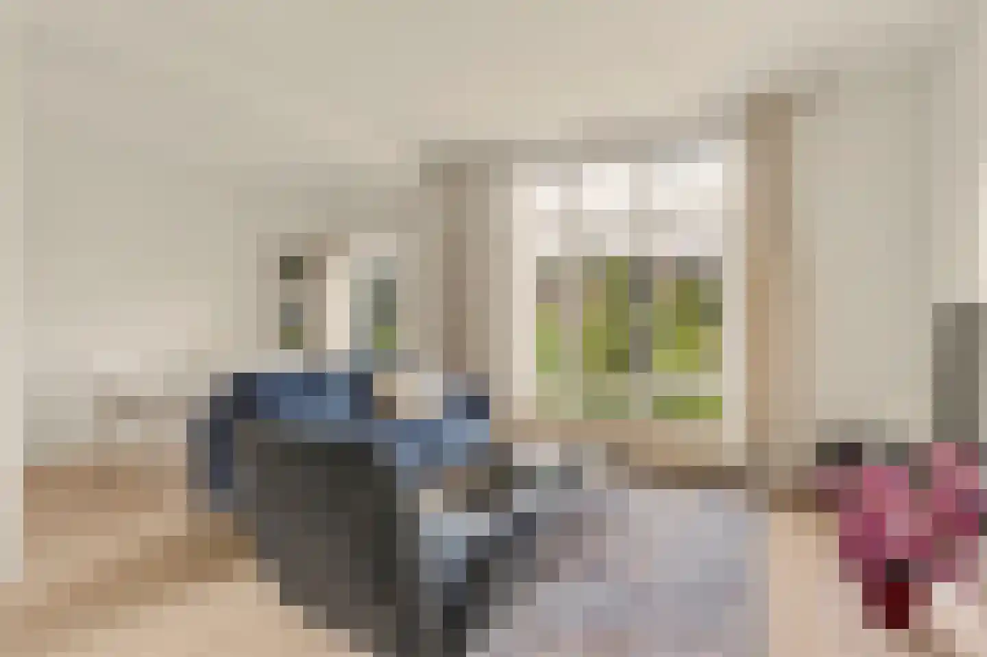 Hart Nibbrigkade 59 Den Haag thumbnail 12
