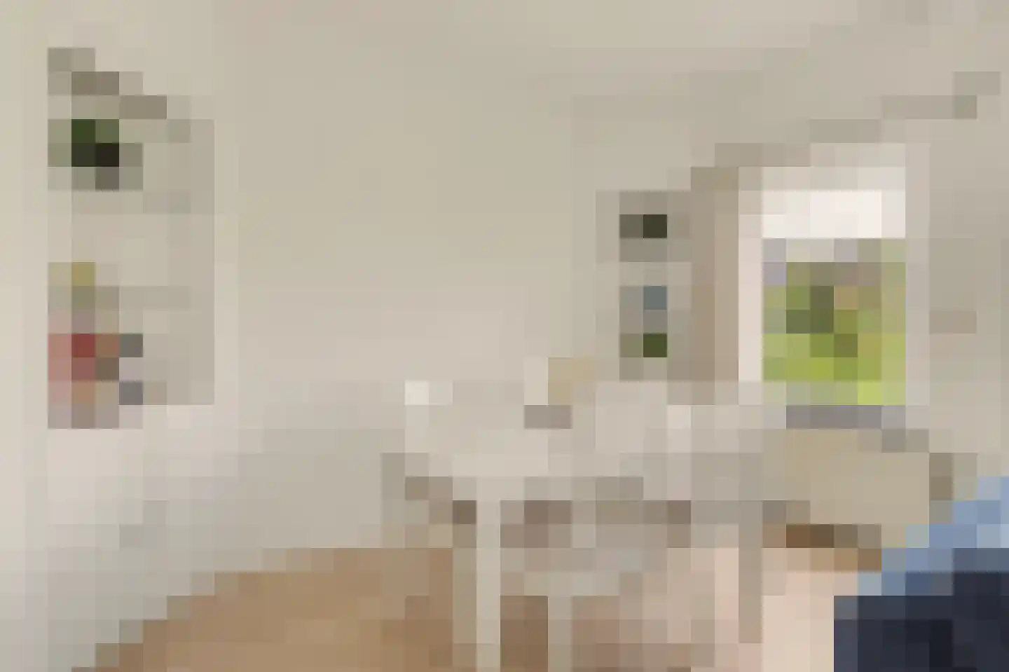 Hart Nibbrigkade 59 Den Haag thumbnail 15