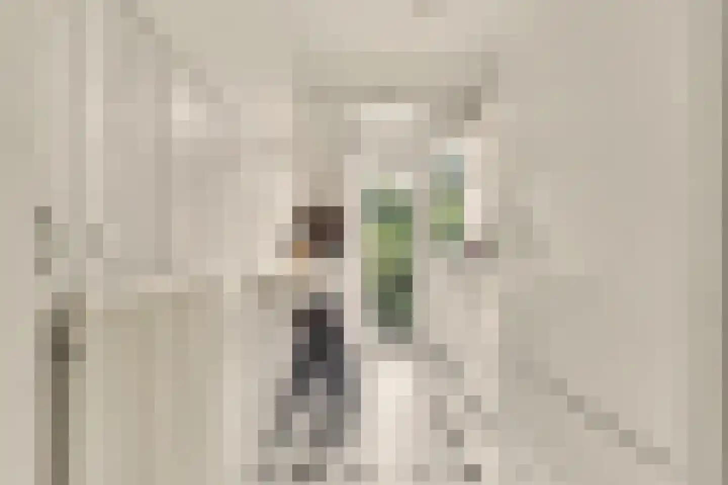 Hart Nibbrigkade 59 Den Haag thumbnail 16