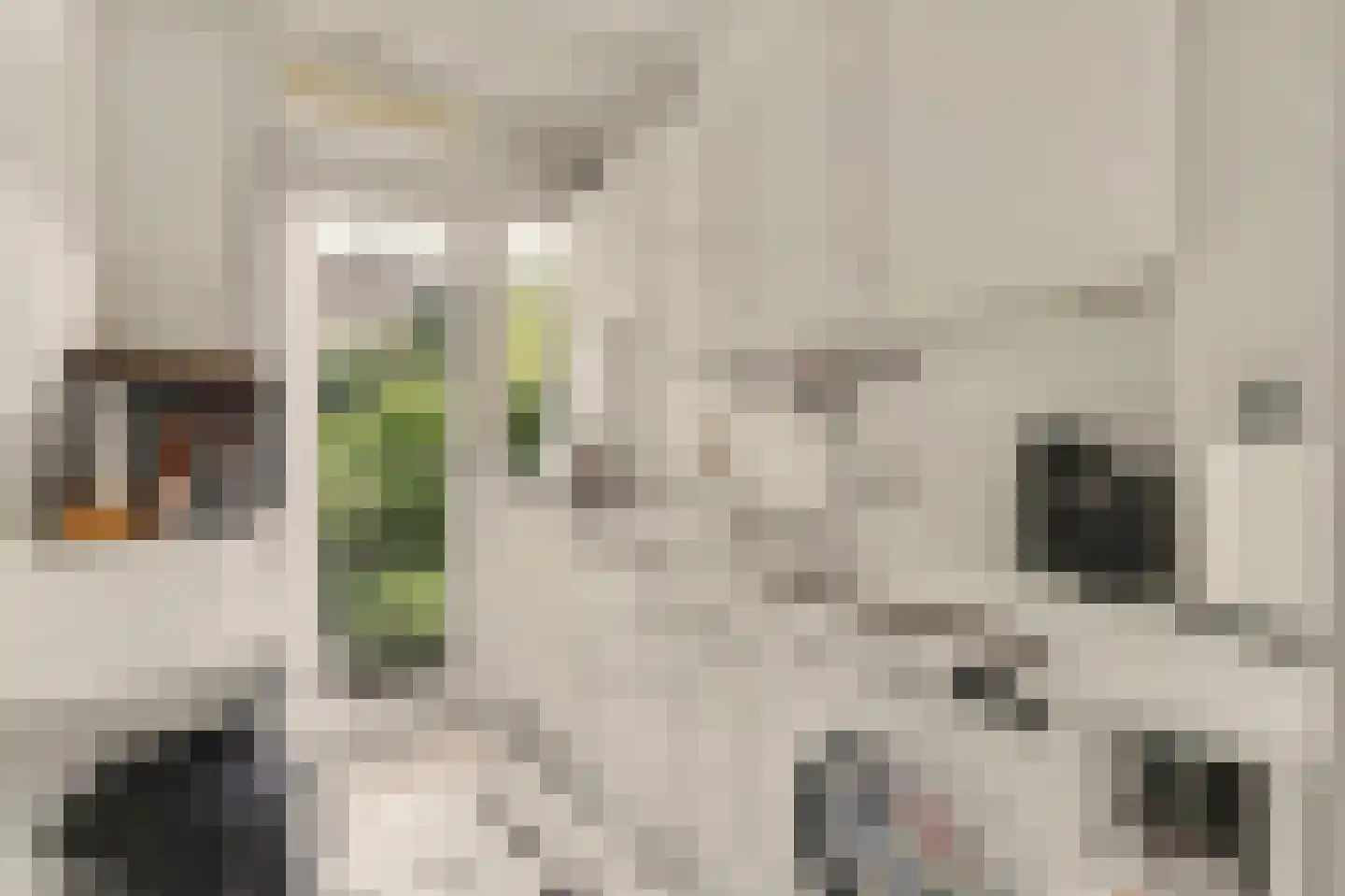 Hart Nibbrigkade 59 Den Haag thumbnail 17
