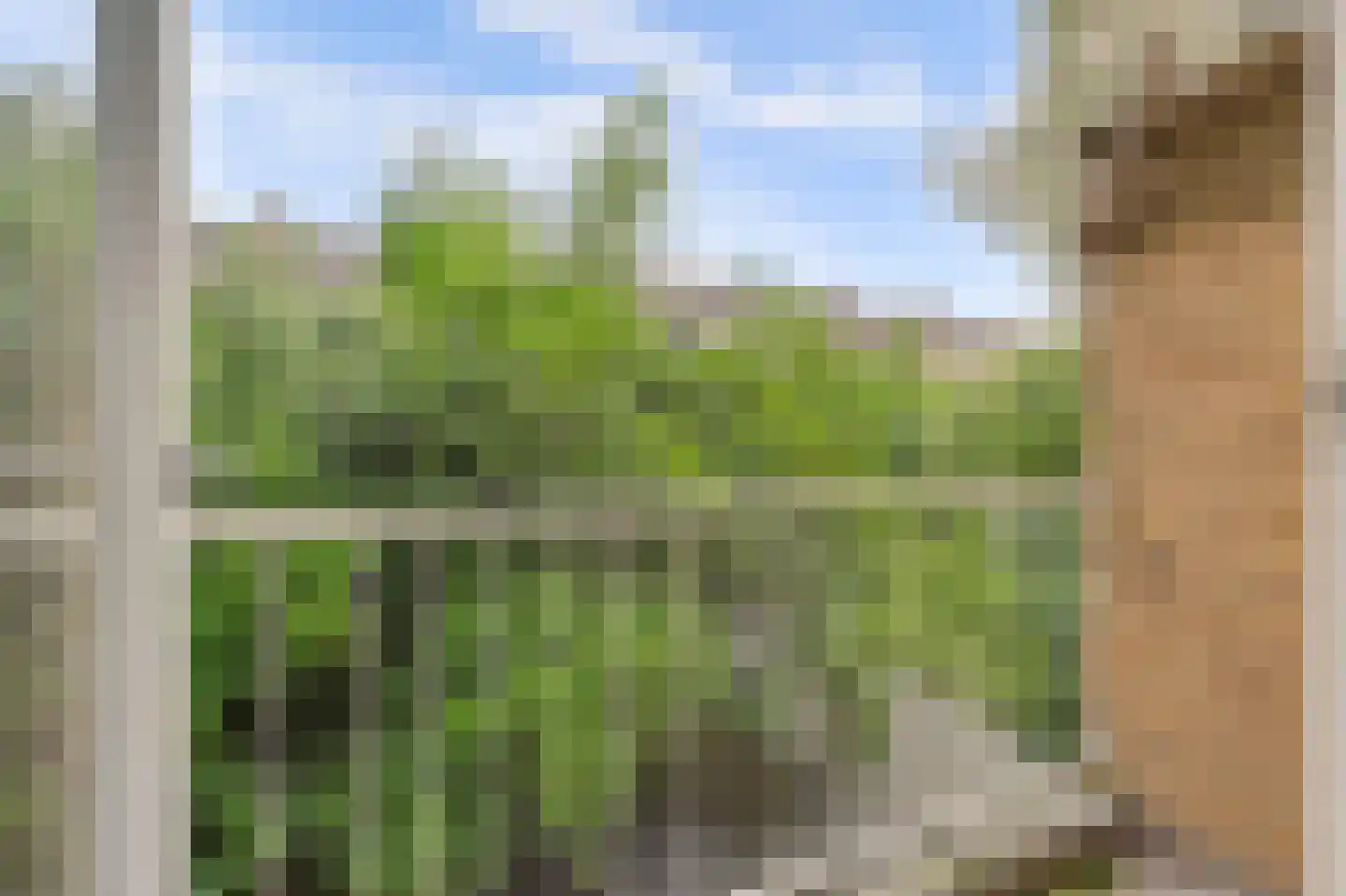 Hart Nibbrigkade 59 Den Haag thumbnail 18