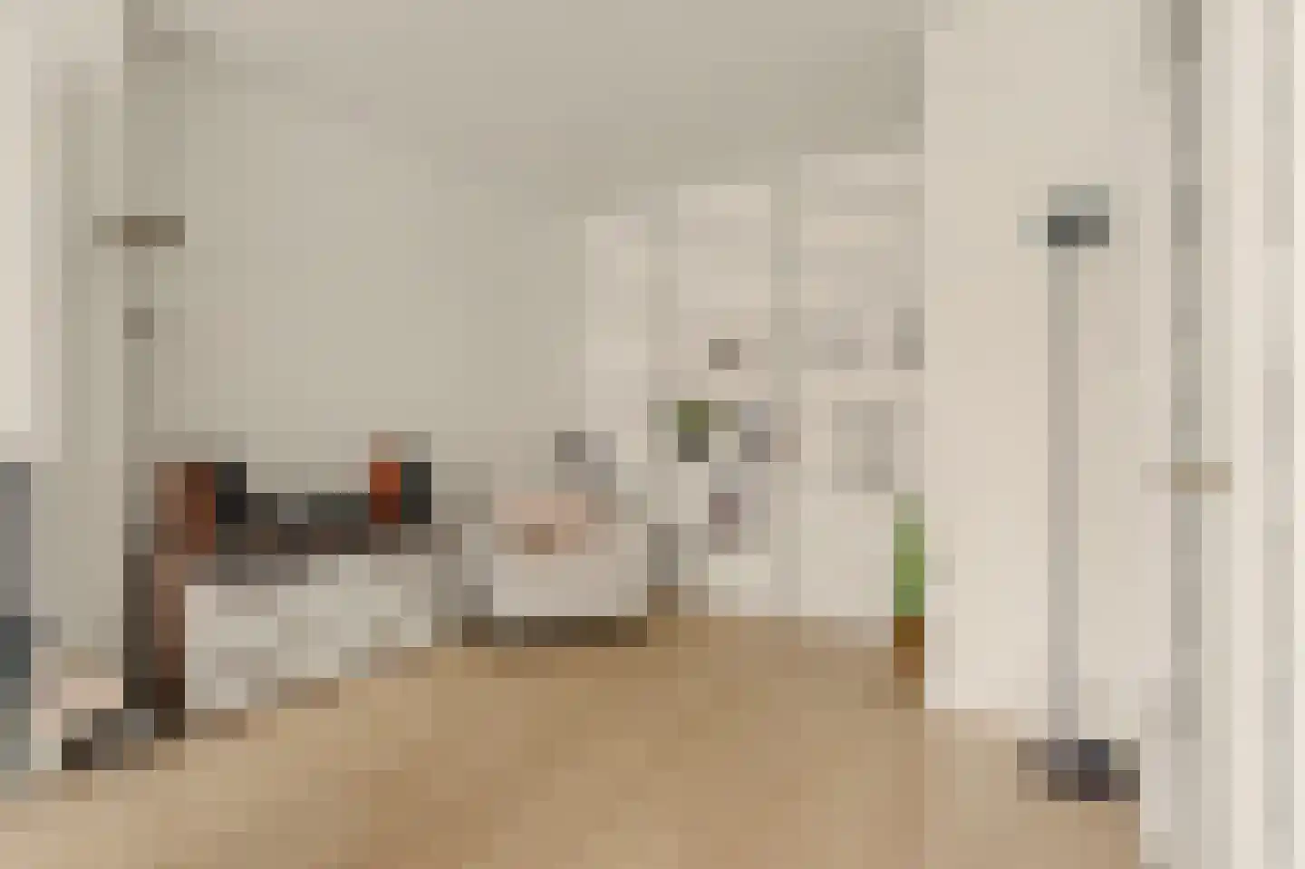 Hart Nibbrigkade 59 Den Haag thumbnail 21