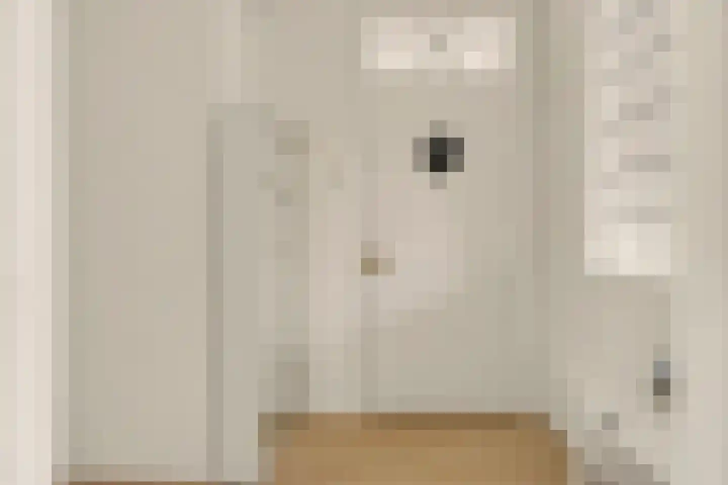 Hart Nibbrigkade 59 Den Haag thumbnail 22
