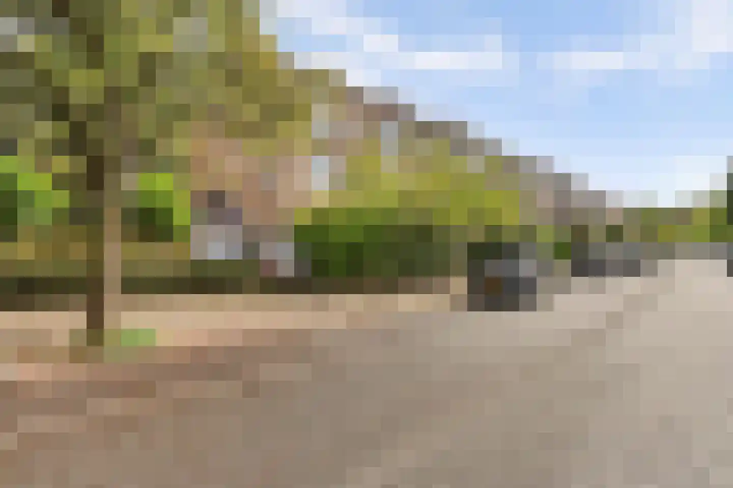 Hart Nibbrigkade 59 Den Haag thumbnail 4