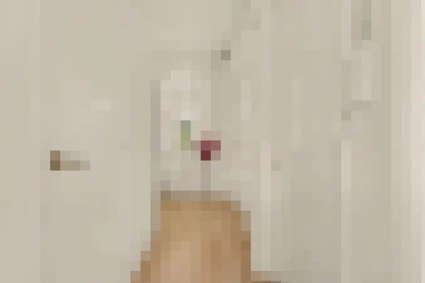 Hart Nibbrigkade 59 Den Haag thumbnail 8