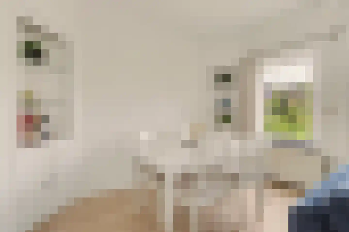 Hart Nibbrigkade 59 Den Haag thumbnail 9