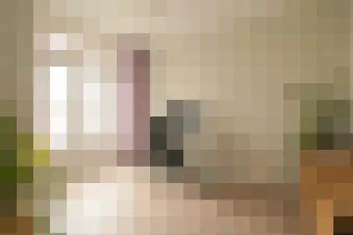 Hart Nibbrigkade 64 Den Haag thumbnail 13